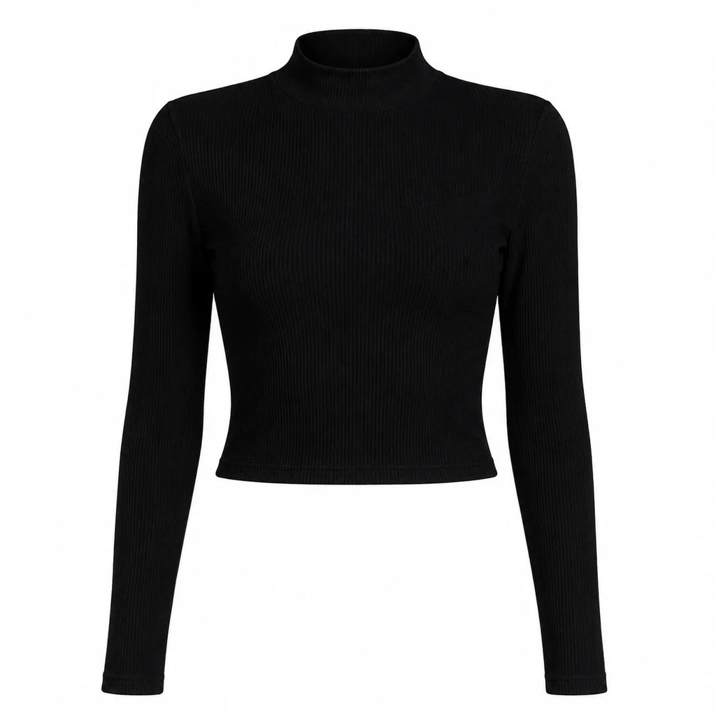 Ribbed Mock Neck Crop Top WHD0606338-JYTC015